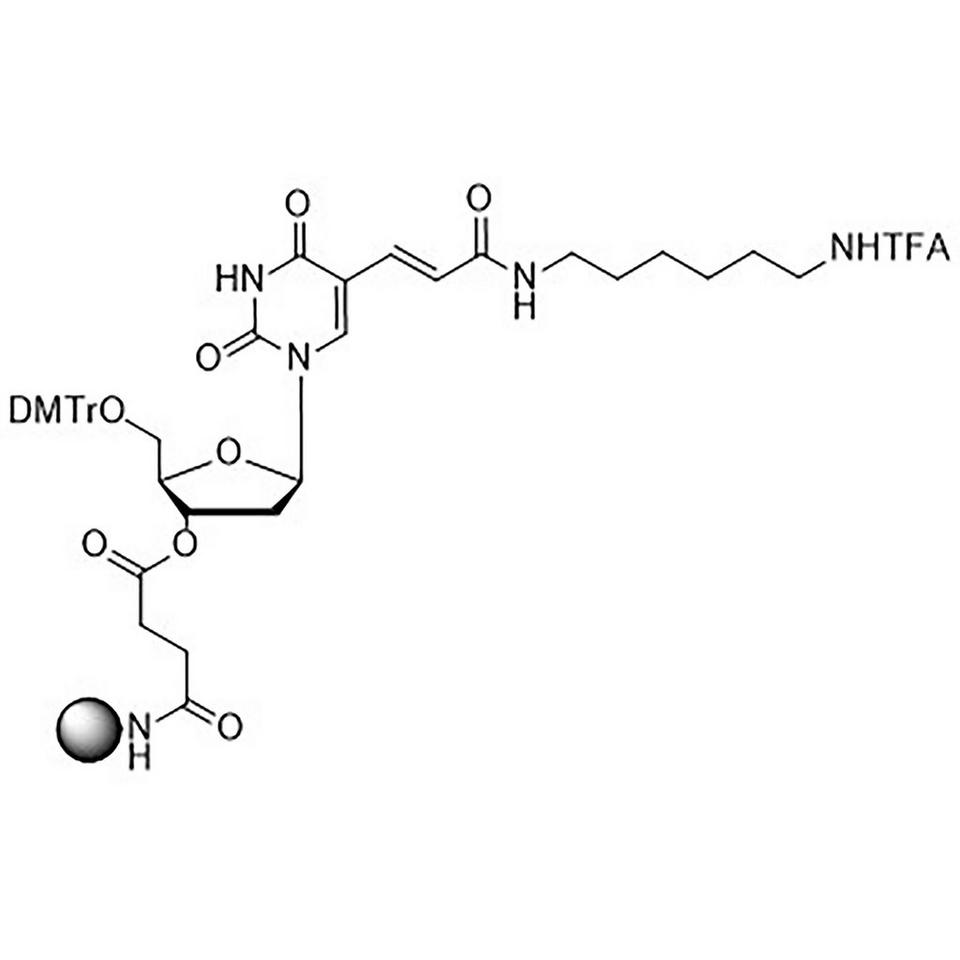 5'-DMT-T(C6 Amino)-Succinate CPG (5'-DMT-T(Hexyl-NH-TFA)-Suc-CPG) Column, 500 Å, 1 µmol, Standard